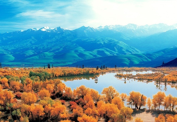 千年瑰宝之地,新疆文化之旅