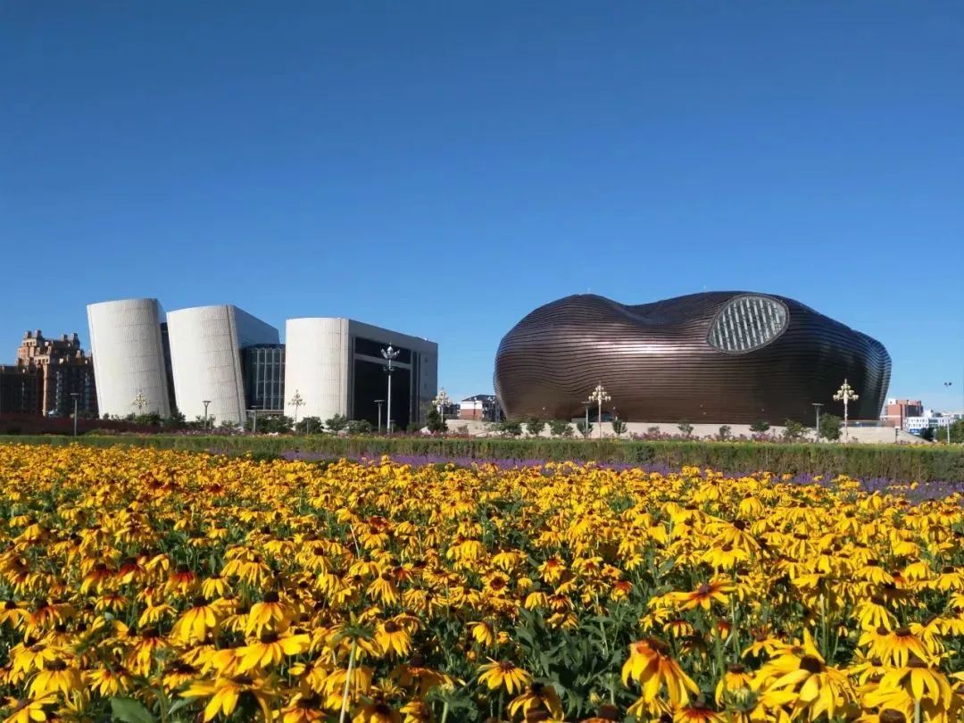 鄂尔多斯,草原文明的繁荣之都