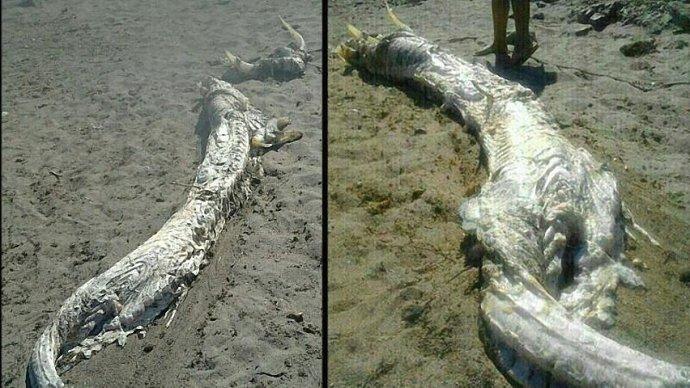 营口盛会,致敬嘉宾与观众朋友们